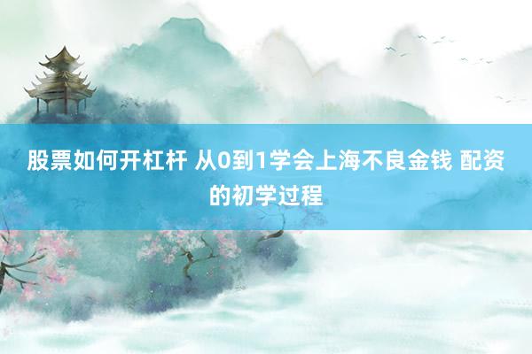 股票如何开杠杆 从0到1学会上海不良金钱 配资的初学过程