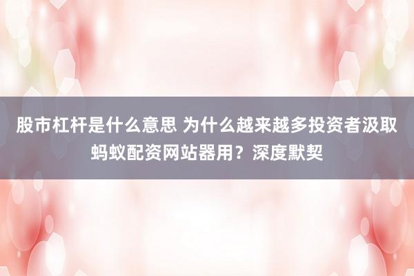 股市杠杆是什么意思 为什么越来越多投资者汲取蚂蚁配资网站器用？深度默契
