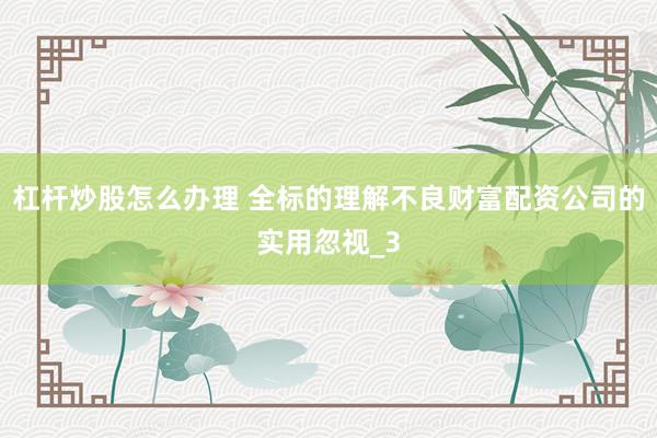 杠杆炒股怎么办理 全标的理解不良财富配资公司的实用忽视_3