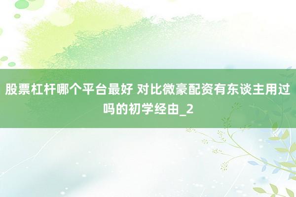 股票杠杆哪个平台最好 对比微豪配资有东谈主用过吗的初学经由_2