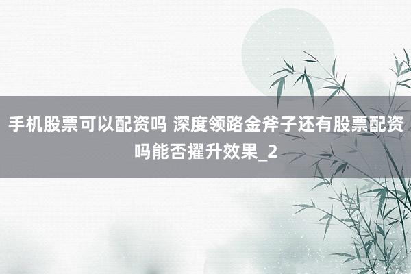 手机股票可以配资吗 深度领路金斧子还有股票配资吗能否擢升效果_2